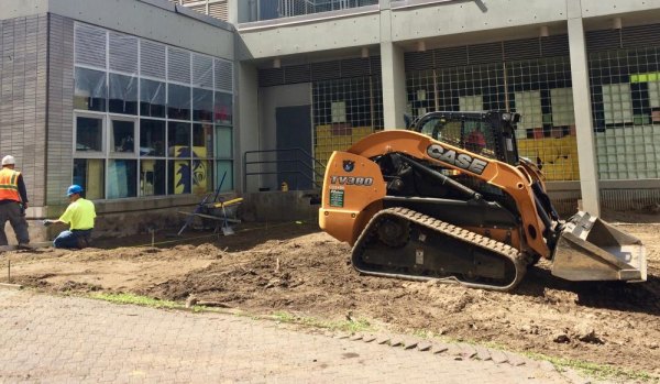 RIRA Common Council Steals Credit for Others' Work Under pressure, the DOE demolished the rat metropolis at PS/IS 217. The Common Council proposed scaring them with cats instead.